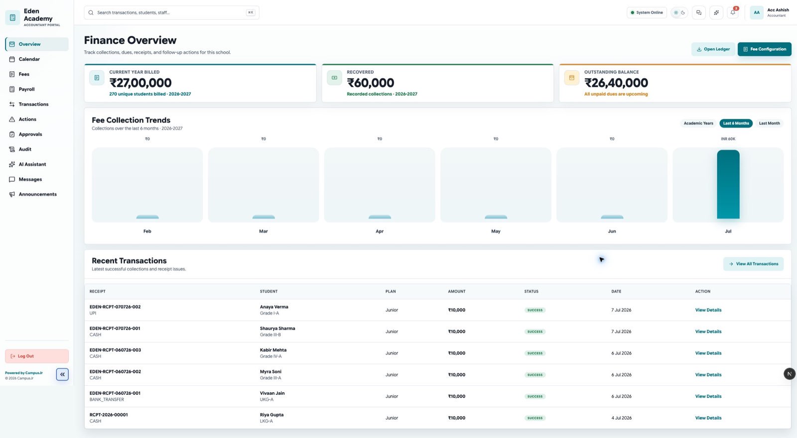 Accountant financial overview